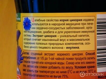 Гэрб цикорий можно