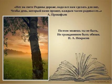 Почему мы должны родине