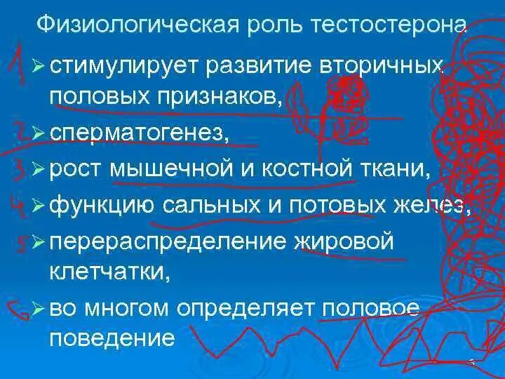 Тестостерон функции. Тестостерон биологическая роль. Функции тестостерона. Тестостерон функции. Функции тестостерона.
