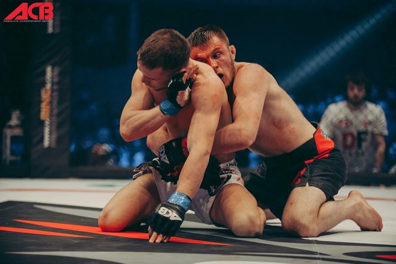 Садам магомедов бокс. Боец bellator магомед магомедов. Бой магомеда магомедова. Магомед магомедов поп мма. Бой магомеда магомедова.