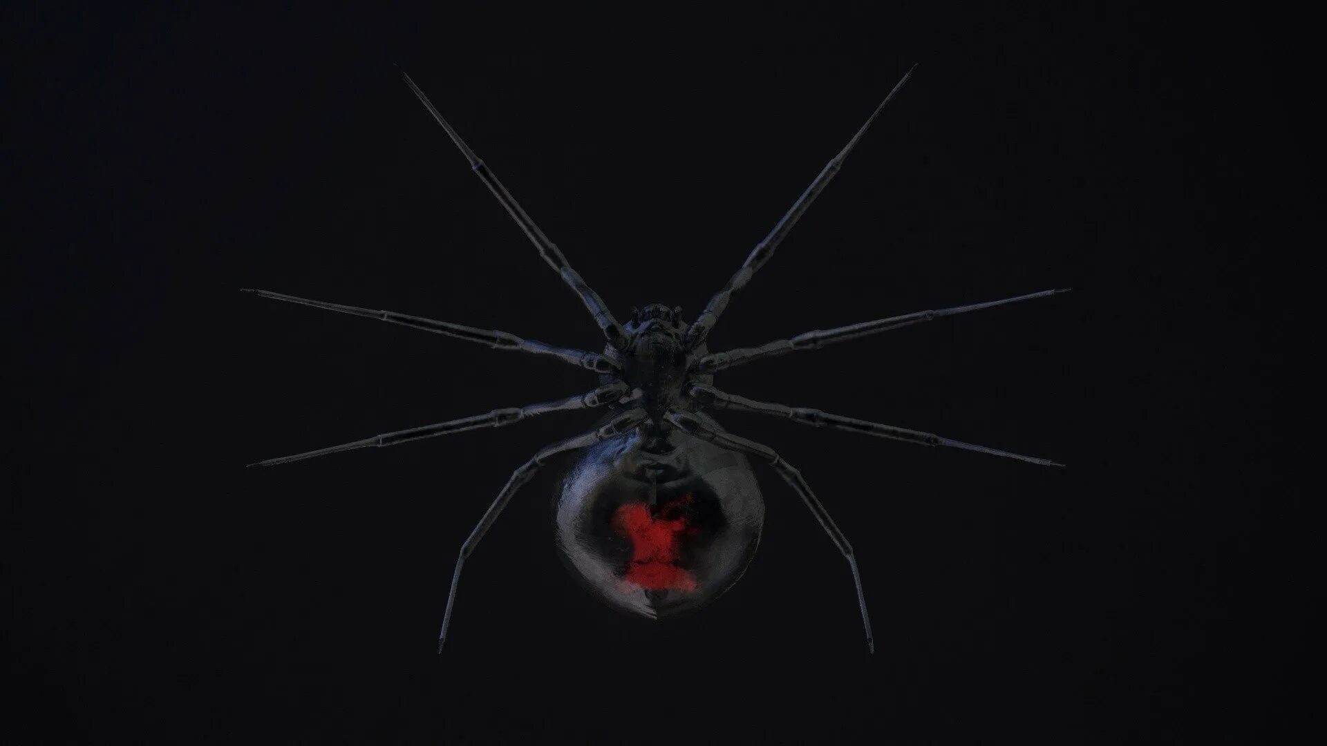 Живые обои паук. Черная вдова паук. Чёрная вдова паук паутина. Черная вдова паук Эстетика. Черная вдова паук арт.