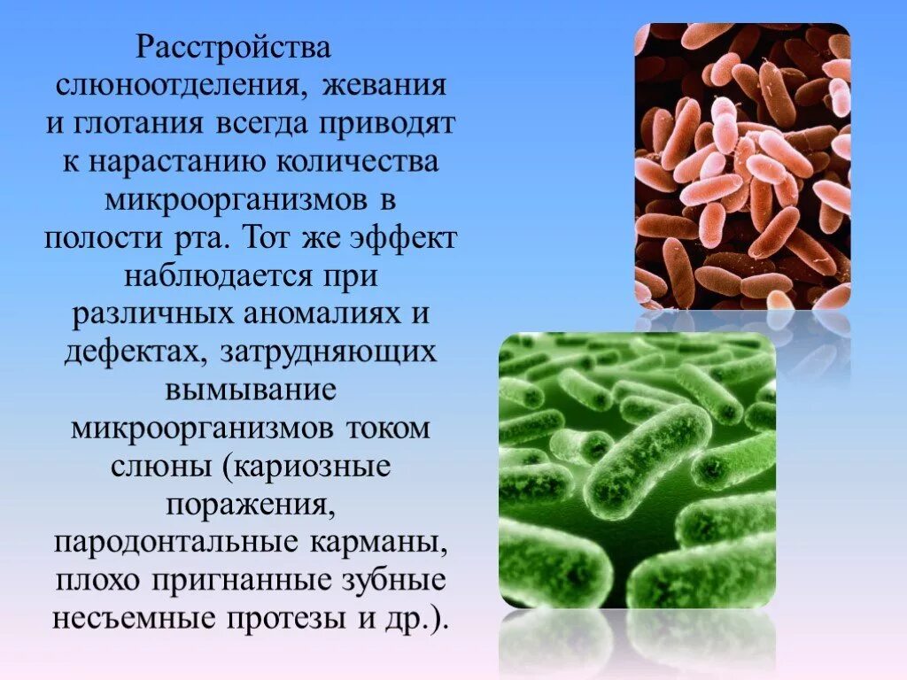 Микробиоценоз полости рта микробиология. Микробы в ротовой полости. Микрофлора ротовой полости бактерии.