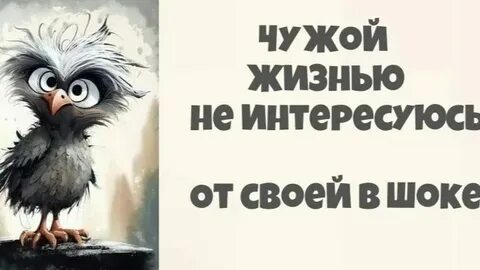 Чем интересуешься то и получаешь