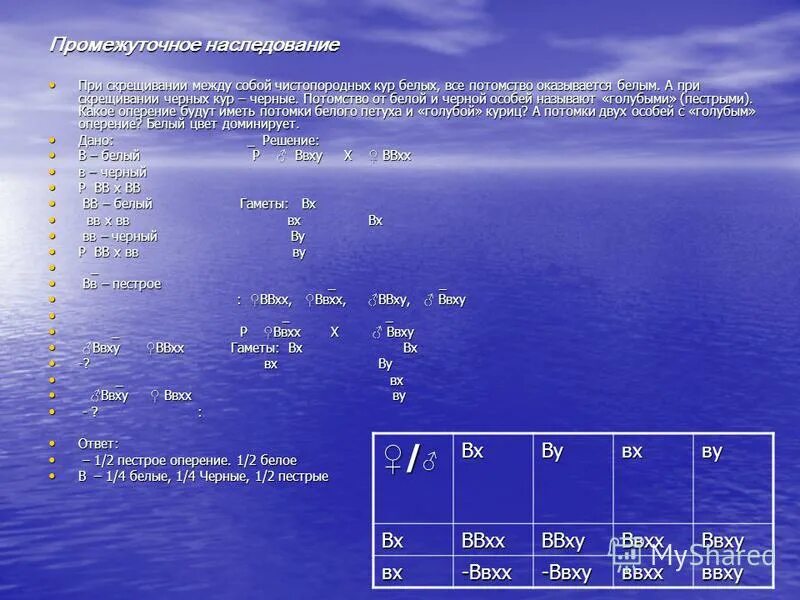 При скрещивание между собой белых кур. При скрещивании между собой чистопородных белых. При скрещивании между собой чистопородных белых голубей. При скрещивание между собой белых кур. При скрещивании между собой чистопородных белых голубей.