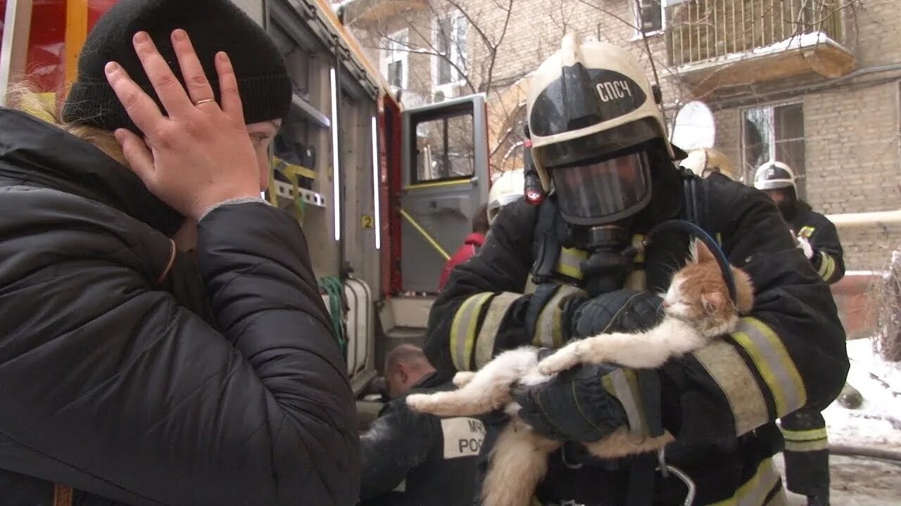 Пожарный спасает кошку. Пожарный спас котенка. Спасение кошки из пожара. Пожарный с котенком. Кошечки спасают