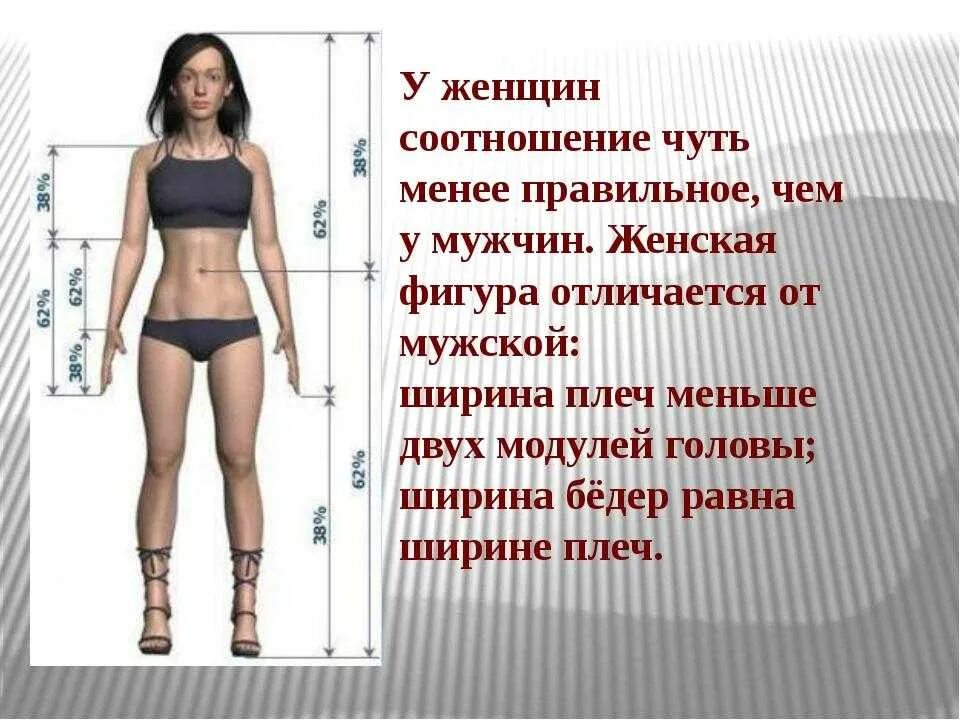 Идеальные пропорции тела. Пропорции тела человека. Идеальное соотношение ног и туловища. Идеальные пропорции женского тела. Отличить рост