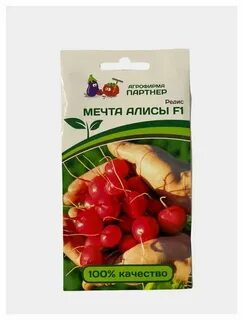 Редис мечта