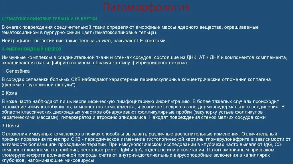 Системная красная волчанка патологическая анатомия. Системная красная волчанка патоморфология. Гематоксилиновые тельца при СКВ.