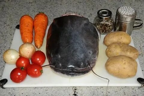 Рецепт приготовления сома