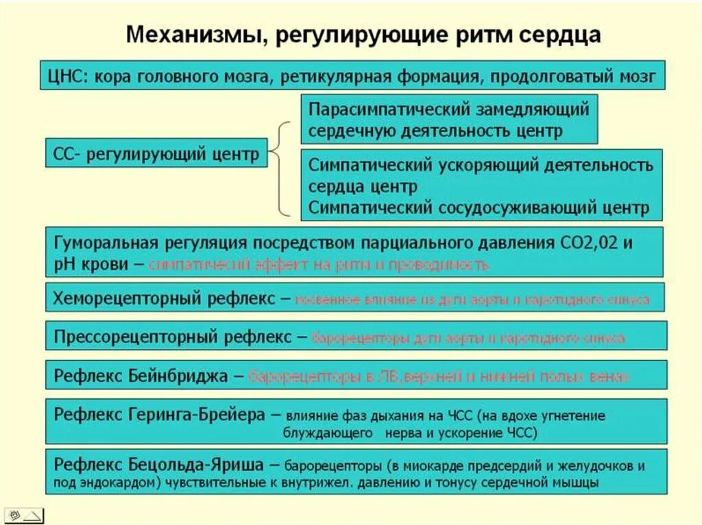 Эфферентное влияние рефлекса Бецольда-Яриша:. Рефлекс Бецольда Яриша. Рефлекс Бецольда Яриша патогенез. Рефлекс Бецольда Яриша механизм.