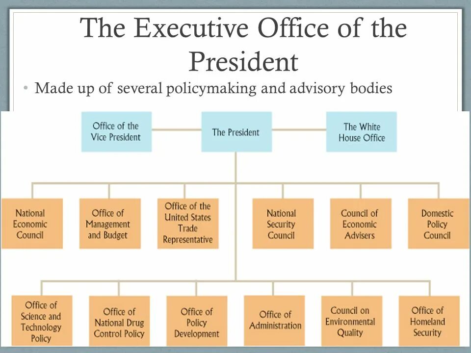 The president in us is. Executive branch. executive branch in the usa. structure of u.s. executive branch. president duties.