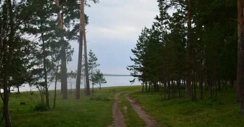 Спирино новосибирская