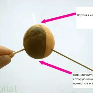 Каким концом ставить