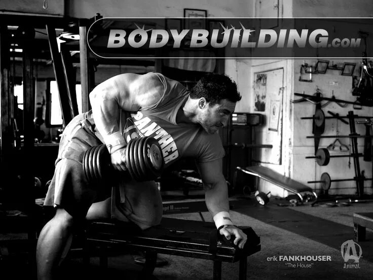Building your body
