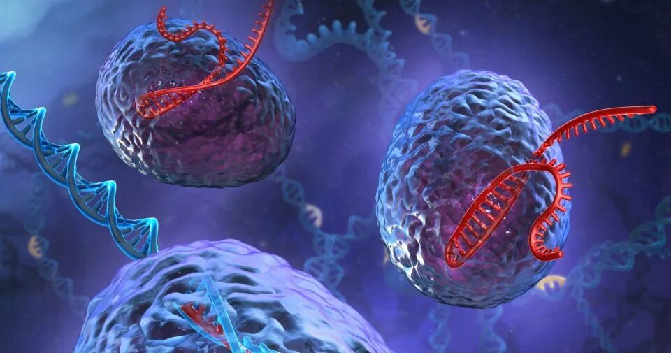 Наследственные заболевания днк. Клетка ДНК. Наследственная предрасположенность к раковым заболеваниям. Генетическое тестирование на онкологию. Генетические заболевания ДНК.