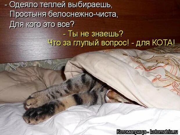 Под одеялом как пишется. Высказывания про одеяло. под одеялом тепло. день под одеялом. день теплого одеяла.