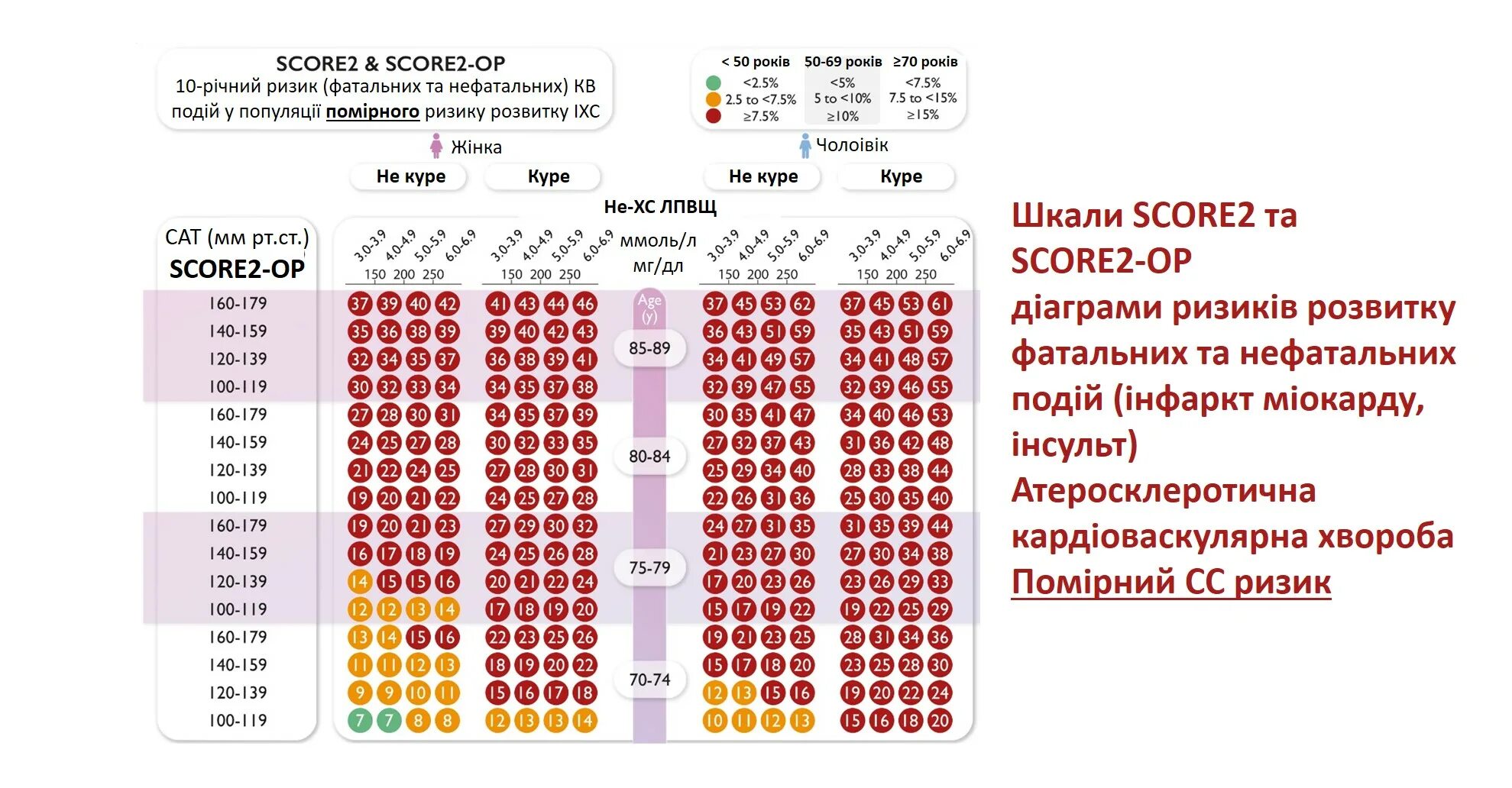 Шкала скоре 2. Шкала риска score 2019. Новая шкала score 2021. Шкала score 2020.