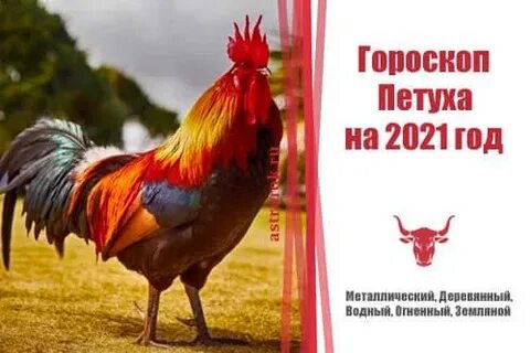 Гороскоп петух на 2024