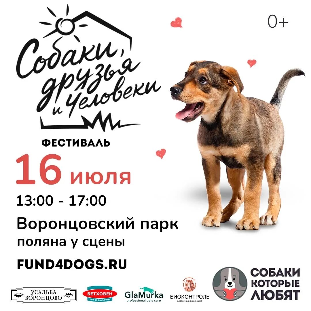 Дог френдли. Dog friendly наклейка. Альфа банк дог френдли. Dog friendly hotel. Дог френдли нижний новгород.
