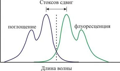 Программа стокс. Программа стокс