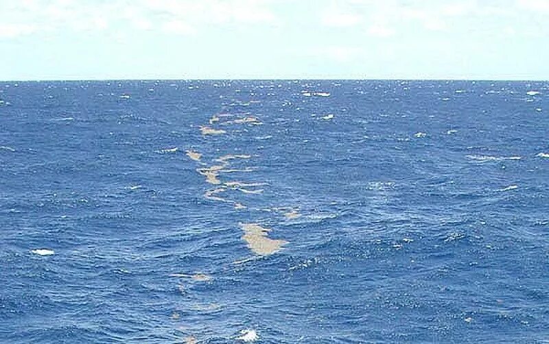 Саргассово какой океан. Атлантический океан Саргассово море. Саргассово море границы. Саргассово море течения.