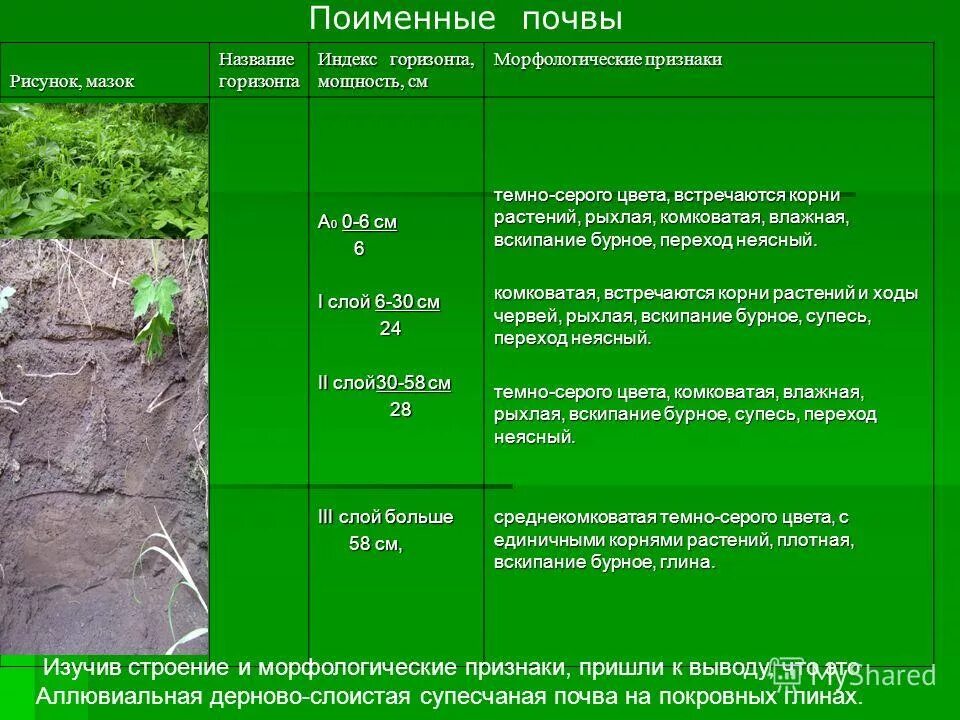 морфологические признаки почвенного