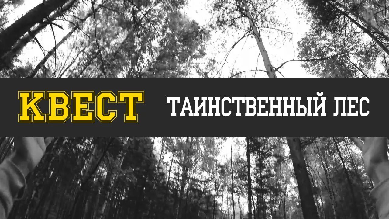 Квесты для детей на природе. Квест на природе. Квест день лес. Квесты для детей в лесу. Квест на природе для детей.
