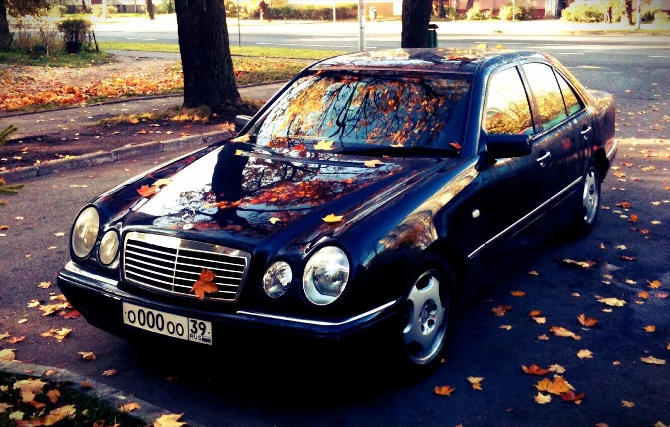 Мерин лупатый. Mercedes benz e230 w210. мерседес лупатый 210. mercedes-benz w210 лупатый. лупатый мерседес w210.