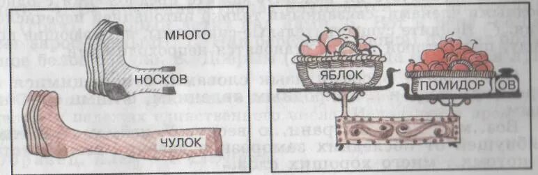 Носок или насок. Пара носок или носков. Пара чулок носков. Правило носок чулков. Чулок сапог носков правило.