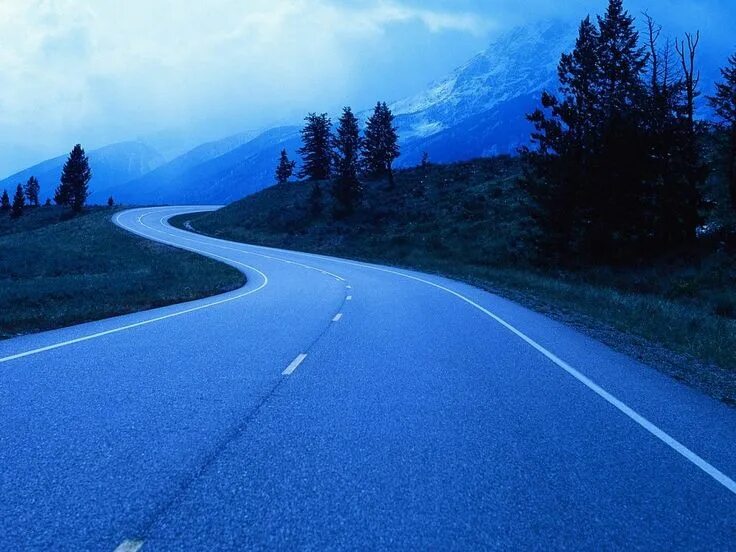 Красивое шоссе фото Gordon Creek Road Forest road, Beautiful roads, Landscape