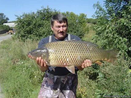 Карпа 3