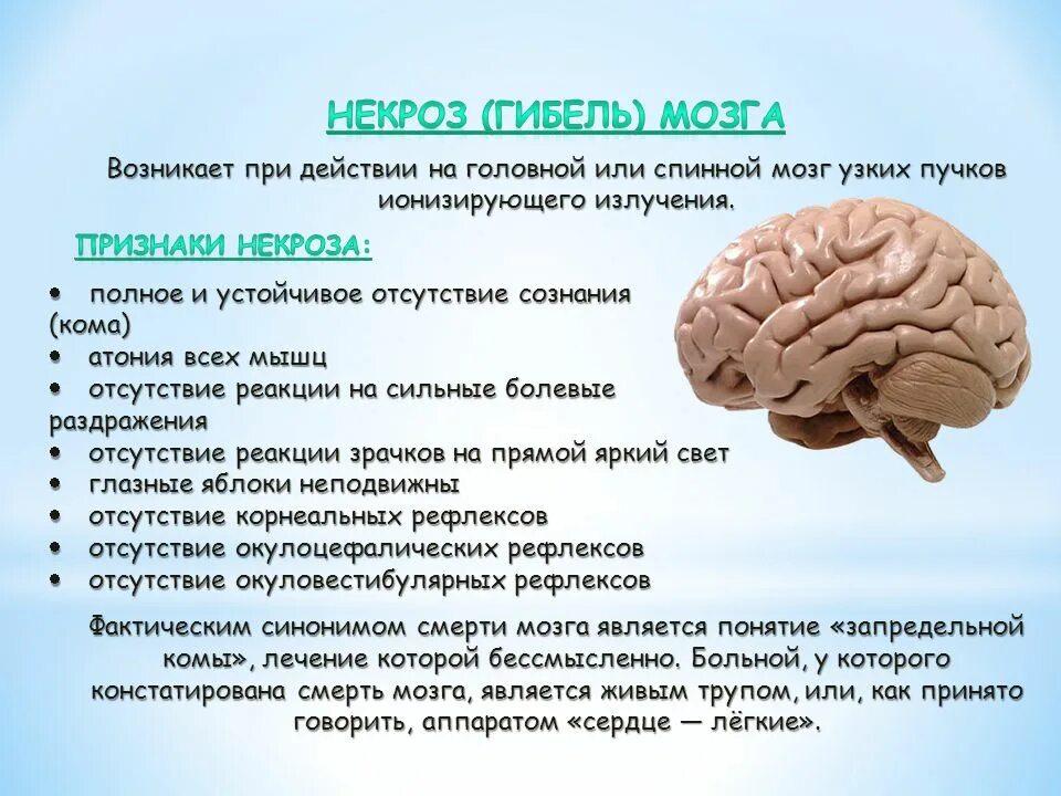 Причины развития мозга. Органическое поражение мозга. Атрофия больших полушарий.