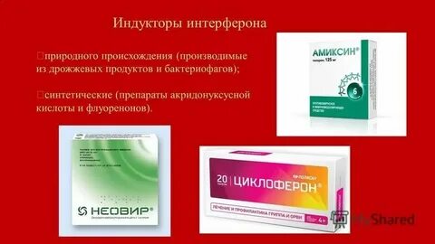 Индукторы интерферонов список лучших