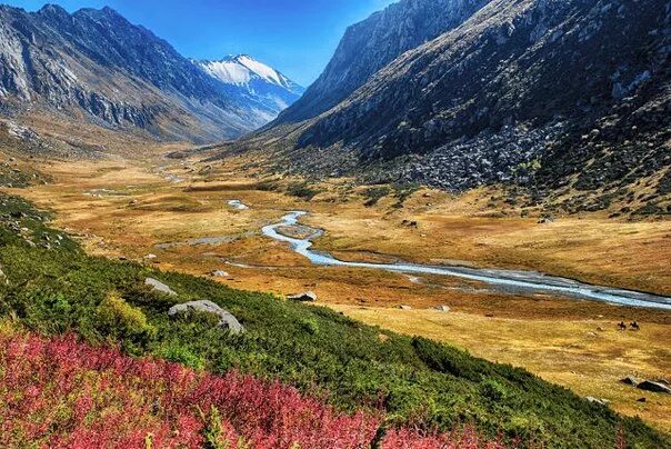 Лепсы казахстан. Лепсинск алматинская обл алакольский район. Лепсинск алматинская обл алакольский район. Озеро жасылколь казахстан. Тополевка казахстан.