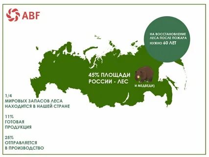 Государственная территория леса