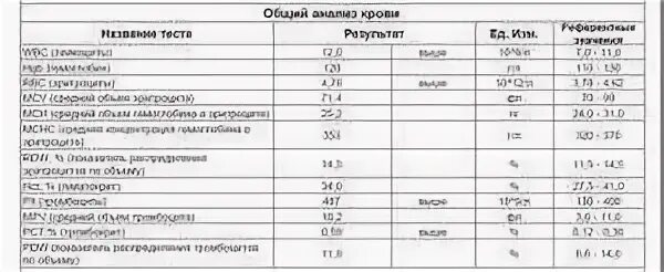 Mchc в крови повышен. MCHC В анализе крови норма у мужчин. МСНС норма. Анализы МСНС норма. MCHC В анализе крови норма у мужчин по возрасту таблица.