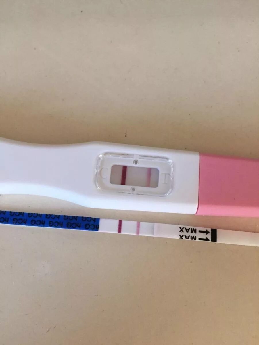 Тест испания. Испанский язык тесты. Испанский язык тесты. Тест испания. Создатель вакцины.