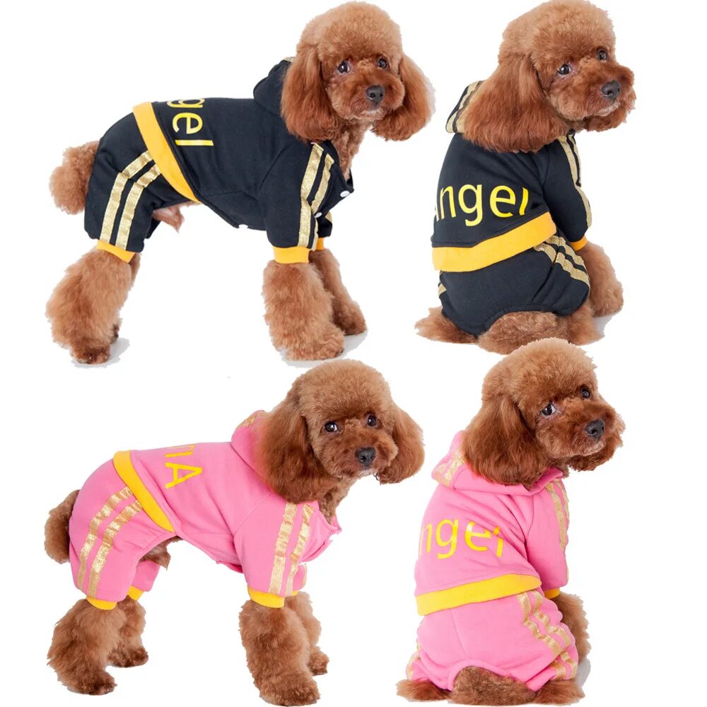 Догс одежда для собак. Dogwear одежда для собак. одежка для собак. костюм собаки. костюмы для собак зимние.