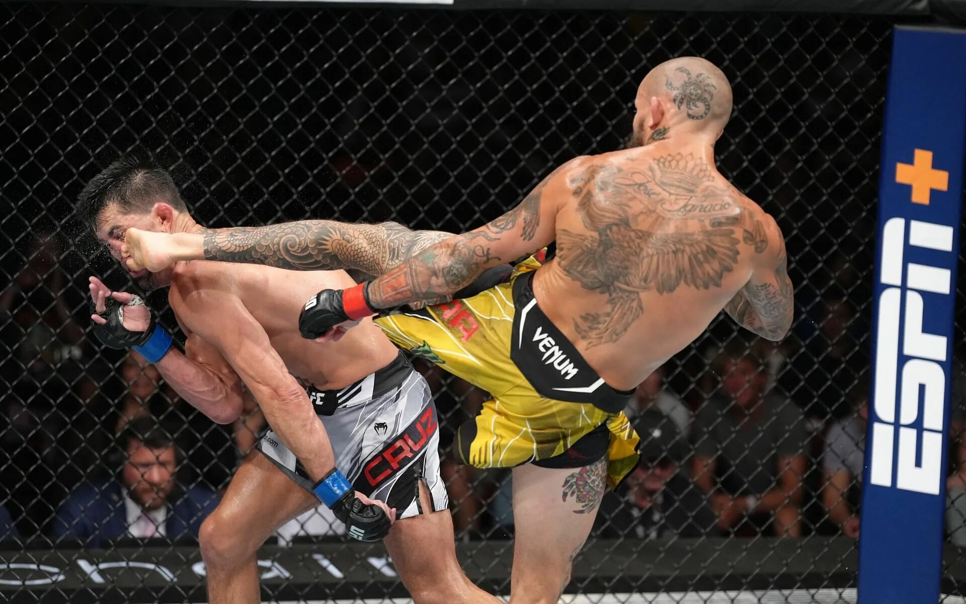 Marlon Vera UFC.