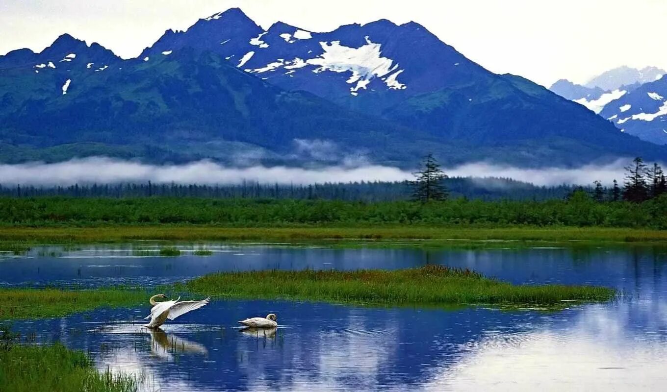 Штат Аляска природа. Дальний Восток и Аляска. Национальный парк Кенай-Фьордс. Аляска (штат США). Д ф о природе