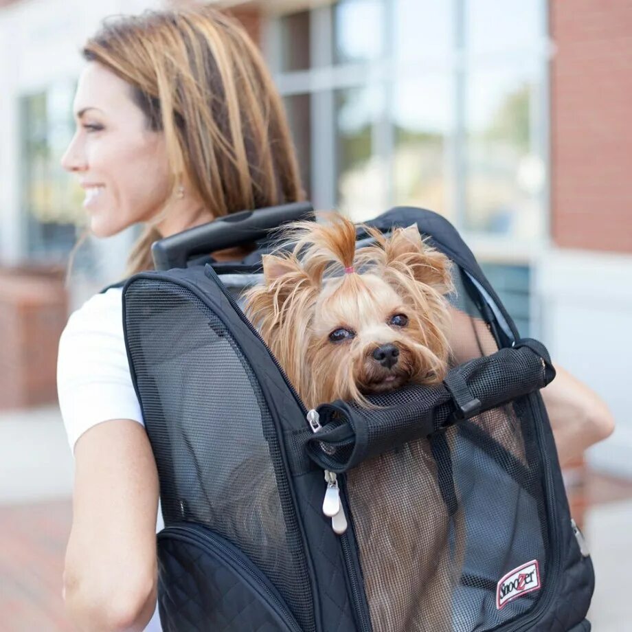 Как вставить собачку в рюкзак. Pet carrier переноска. рюкзак pet carrier. carry on 1 переноска для собак. snoozer переноска для собак.