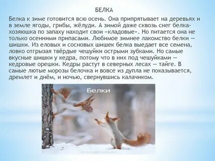 Текст белка является