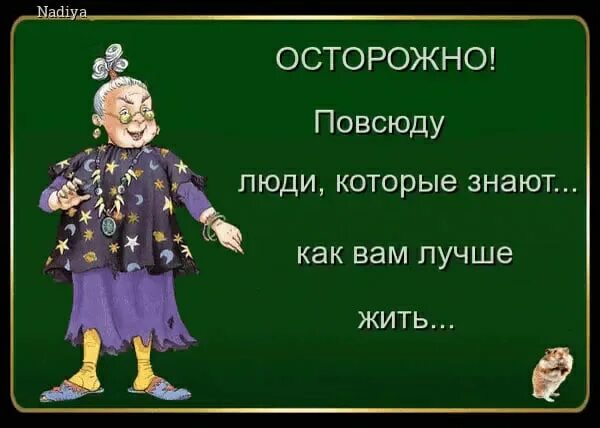 Жизнь правильно. Как живет человек который правильно живет. Шутки про законы. Оставаться человеком в любой ситуации. Как правильно прожить жизнь.