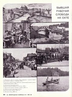 Туту ленинградский подсолнечная
