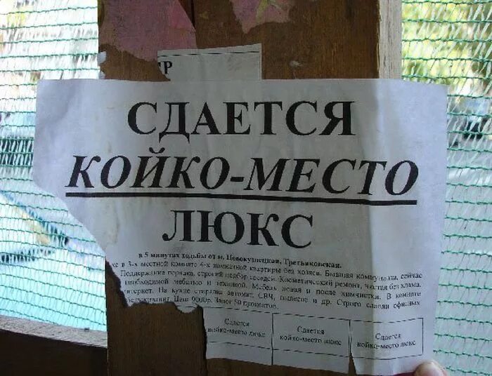 Подам объявление о сдаче. Смешные объявления о сдаче квартиры. прикольное объявление о сдаче комнаты. смешные объявления о аренде квартиры. жилье объявление прикол.