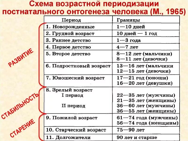 Возраст соответствующий первому детству. Схема возраст возрастная периодизация. возрастная периодизация человека. схема возрастной периодизации. возрастная периодизация онтогенеза человека таблица.