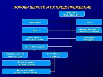 Источники пороков