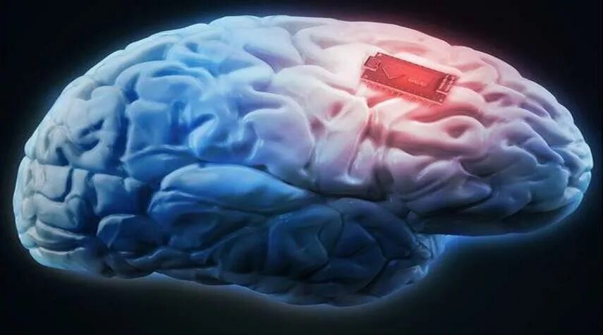 Brain h. Мозговой чип. Чип в мозг. Современные технологии мозг.