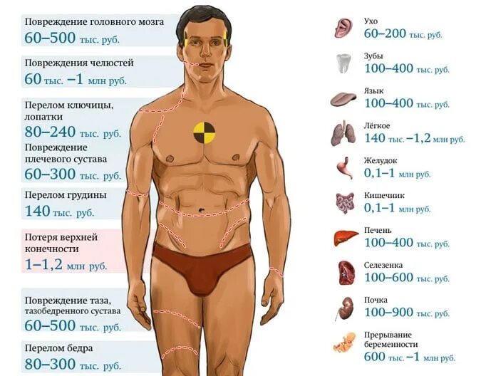Мужчина без органа. Сколько стоит почка человека. Сколько стоят органы. Сколько стоят органы человека. Сколько стоит почка человека в России.