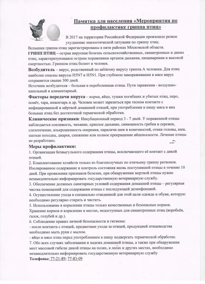 Закон о содержании птиц. Памятка по гриппу птиц для населения. грипп птиц памятка для населения. памятки для населения по высокопатогенному гриппу птиц. памятка по профилактике гриппа птиц.